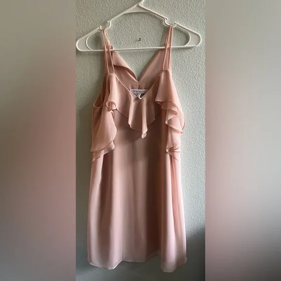 NEW LOW PRI$E! BCBG light pink sheer mini dress - Picture 1 of 3